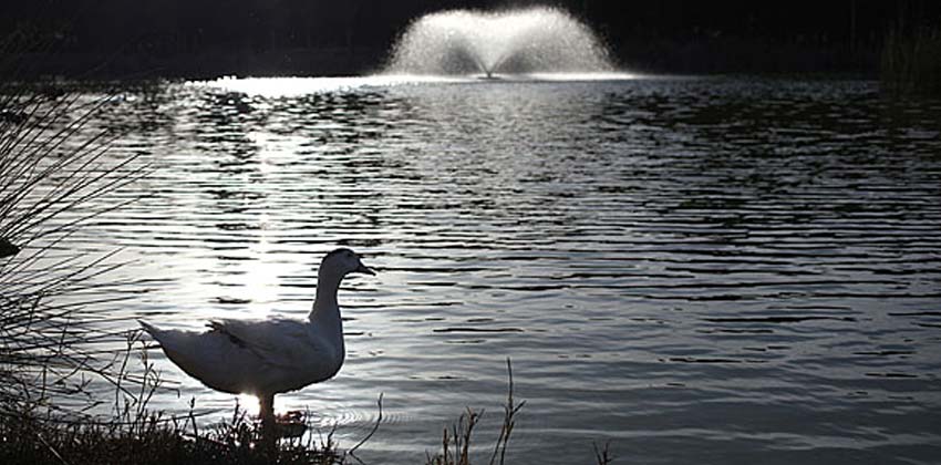 Parques de Sevilla: Parque Infanta elena | Sevilla con los peques