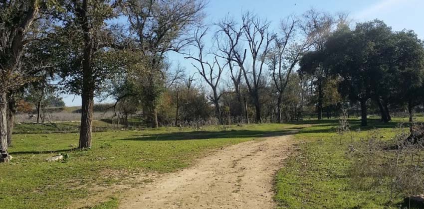 Parques de Sevilla: Parque del tamarguillo | Sevilla con los peques