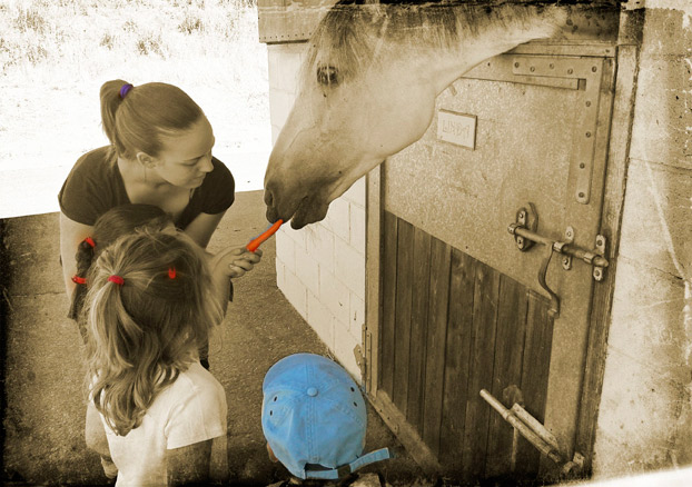 la-herradura-caballos-niños-terapias-ecuestre-sevillaconlospeques-2