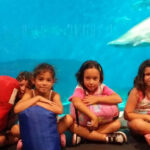 Campamento acuario de Sevilla | Sevilla con los peques