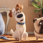 Cine de verano de Utrera | Sevilla con los Peques