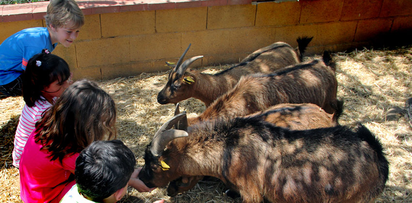 Campamento de verano en Encinar de Escardier | Sevilla con los peques