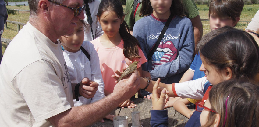 Monitor explicando característica de los pájaros | Sevilla con los peques