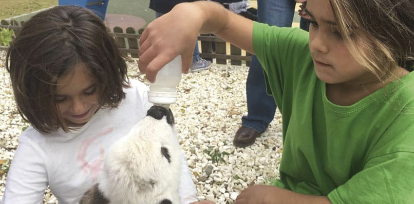 cumpleaños en Granja Aventura El Ronquillo 02 | Sevilla con los peques