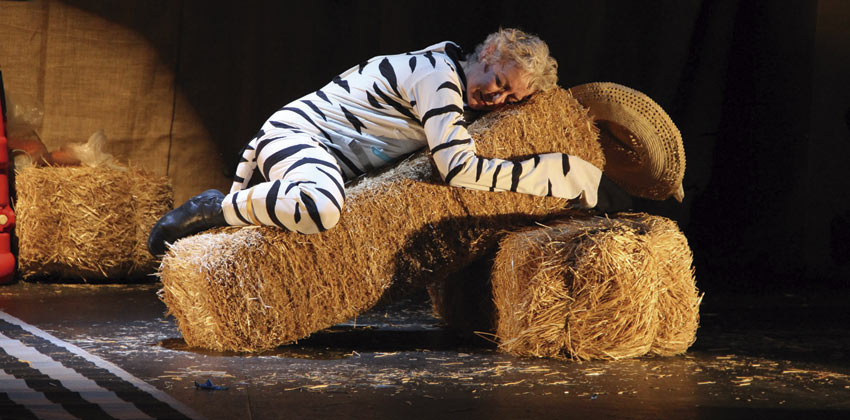 La Cebra Camila una obra de teatro infantil en el Teatro Alameda 01 | Sevilla con los peques