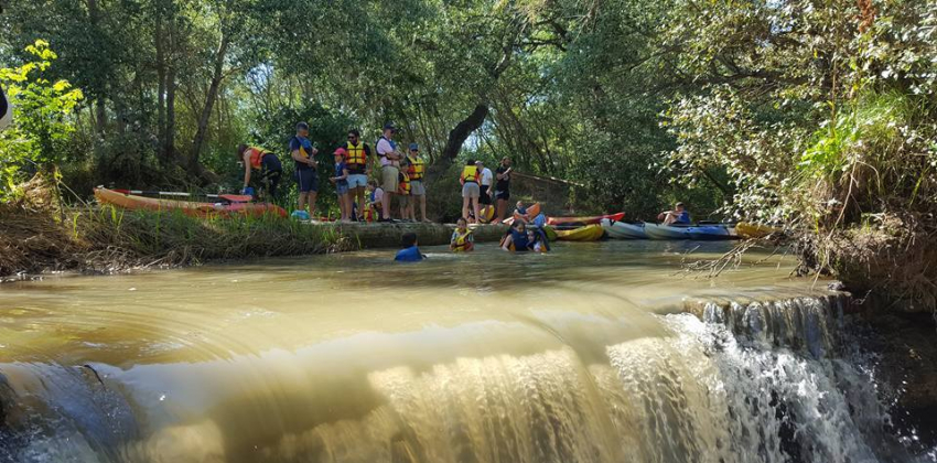 Piragüismo guiado dentro de Actividades de verano en el corredor verde de Guadiamar | Sevilla con los peques