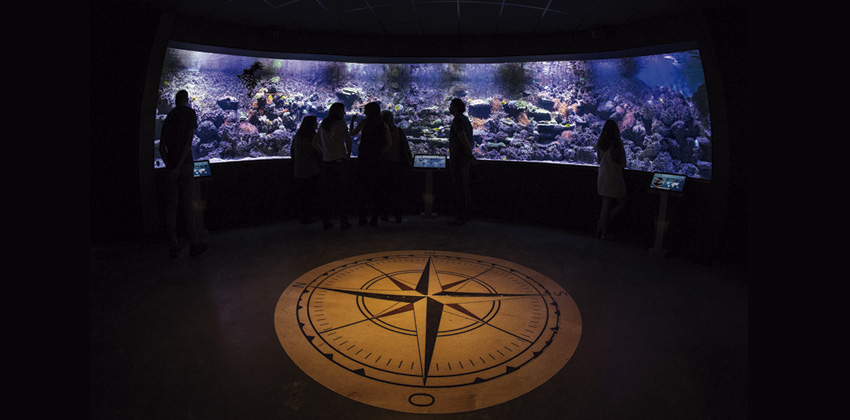 Primera vuelta al mundo: Actividades en el Acuario de Sevilla 02 | . Sevilla con los peques