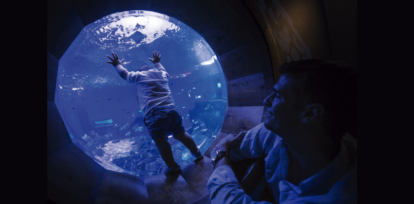 Primera vuelta al mundo: Actividades en el Acuario de Sevilla 03 | . Sevilla con los peques