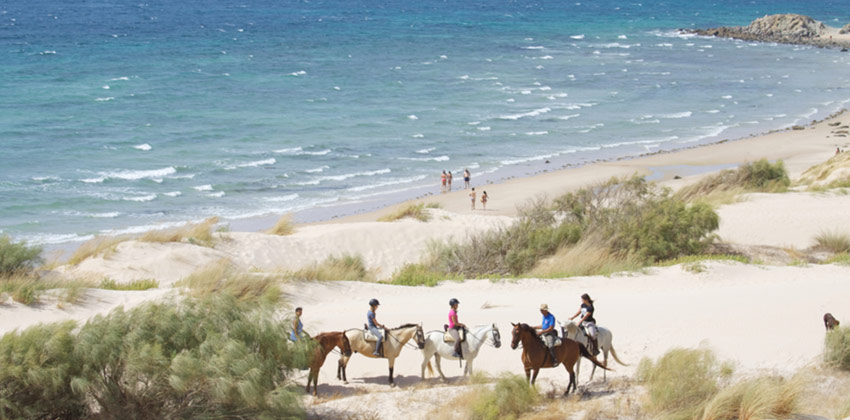 Paseo en caballo en la Playa de Punta Paloma de Cádiz | Sevilla con los peques