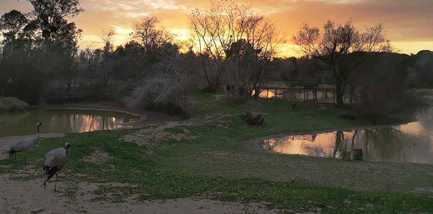 Dia del Humedal en la cañanada de los pajaros | Sevilla con los peques
