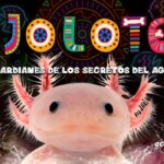 El ajolote llega al Acuario de Sevilla para divertir a niños y mayores | Sevilla con los peques